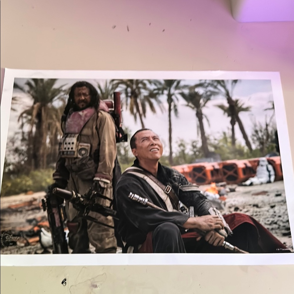 Disney Star Wars Poster exclusive commemorative lithograph Rogue One